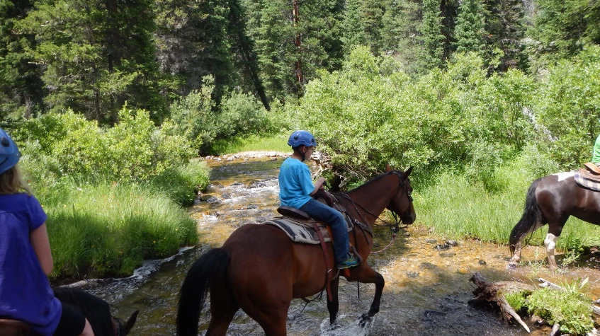 Daily Didim Horse Safari Tour photo 6