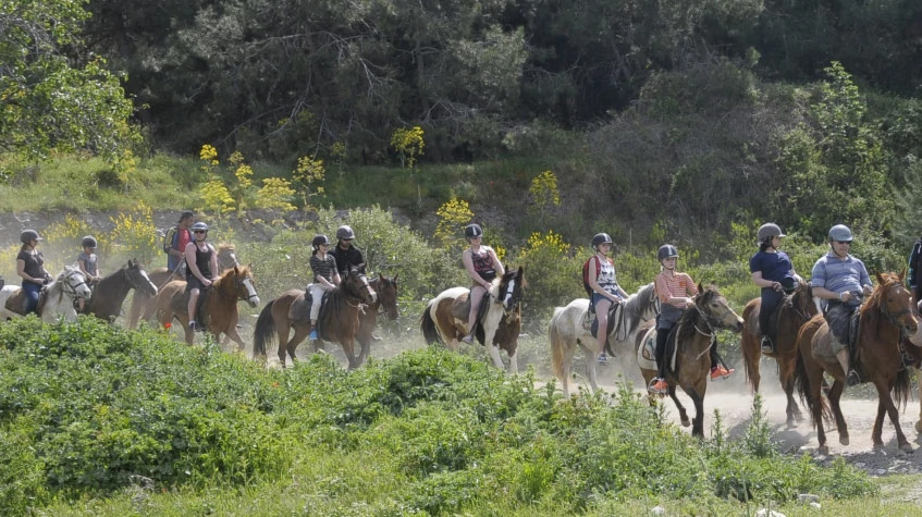 Daily Didim Horse Safari Tour photo 7