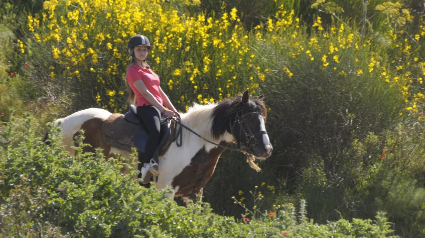 Daily Didim Horse Safari Tour photo 9