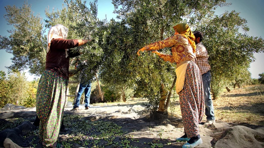 Daily Antakya City Tour photo 8
