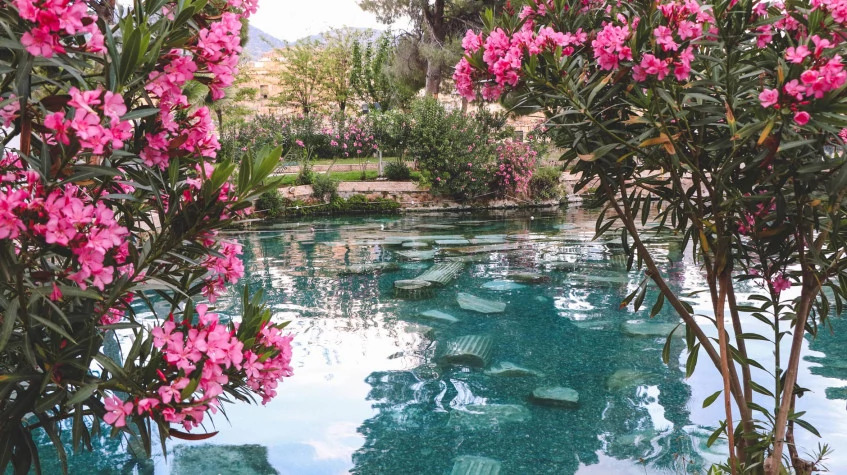 Didim to Pamukkale Tour photo 7