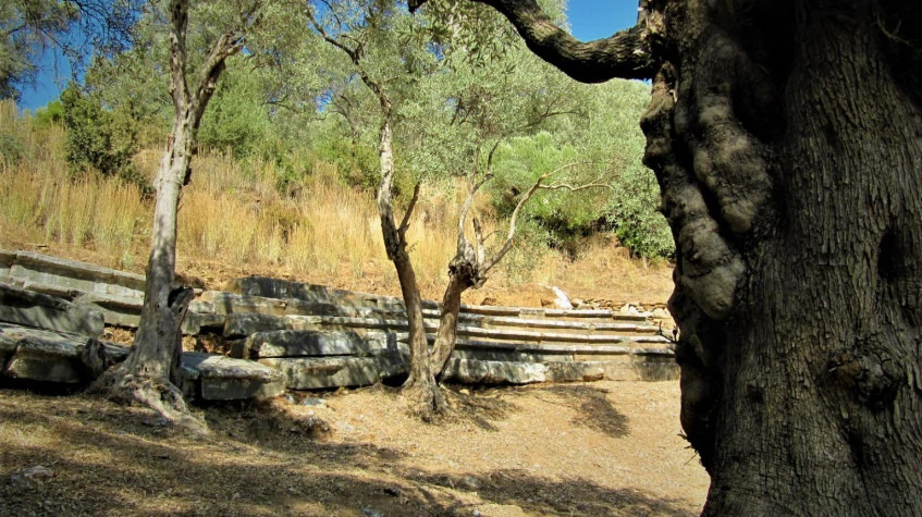 Daily Iasos and Euromos Tour from Didim photo 5
