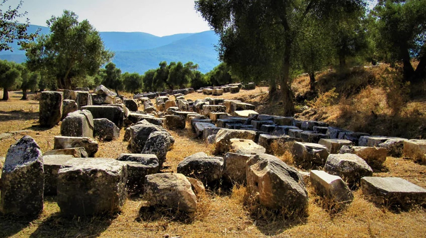 Daily Iasos and Euromos Tour from Didim photo 10