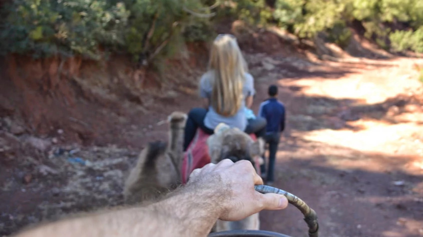 Daily Camel Riding Tour from Oludeniz photo 3