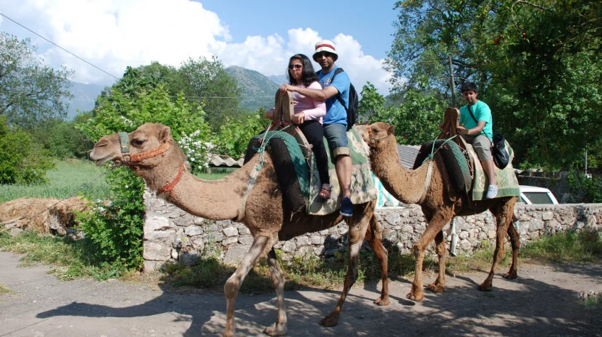 Daily Camel Riding Tour from Oludeniz photo 5