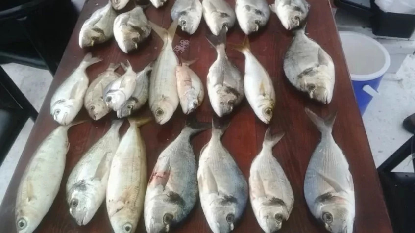 Daily Oludeniz Fishing Tour photo 7