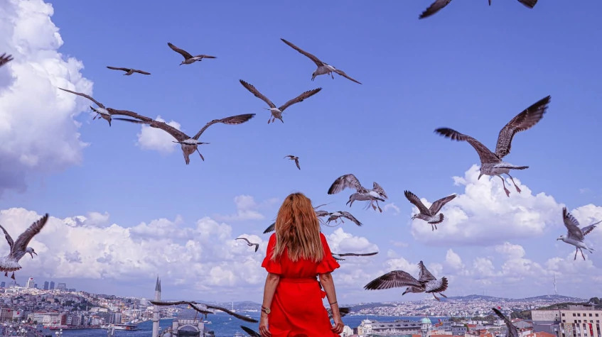Daily Istanbul City Tour from Oludeniz photo 1