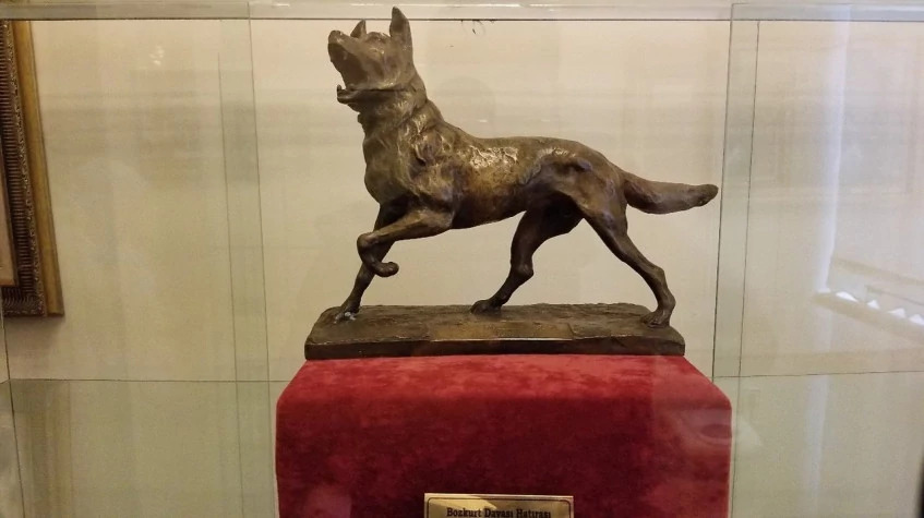 Daily Samsun Gazi Museum Tour photo 4