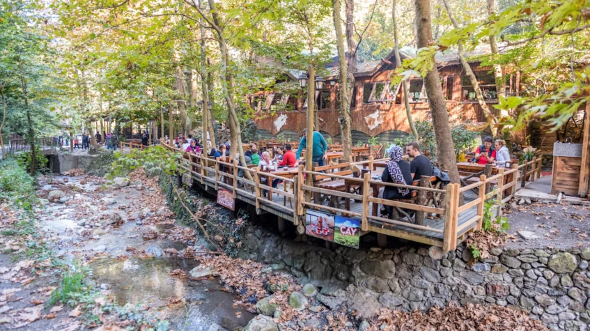 Daily Sapanca Masukiye Tour from Kocaeli photo 10