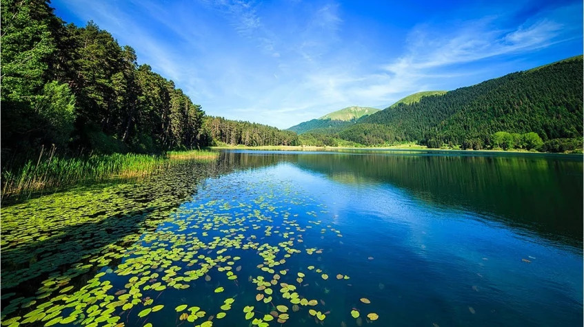 Daly Sapanca Lake & Masukiye Tour from Kocaeli photo 5