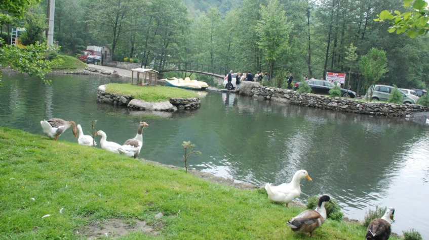 Daly Sapanca Lake & Masukiye Tour from Kocaeli photo 8