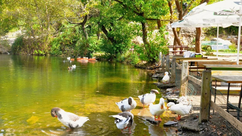 Daily Kocaeli Ballikayalar Trekking Tour photo 11