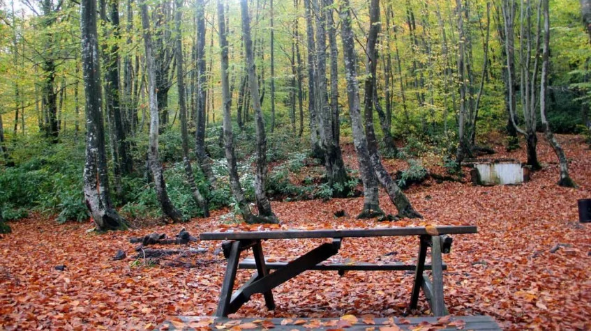 Zonguldak Trekking Tour Turkey photo 2