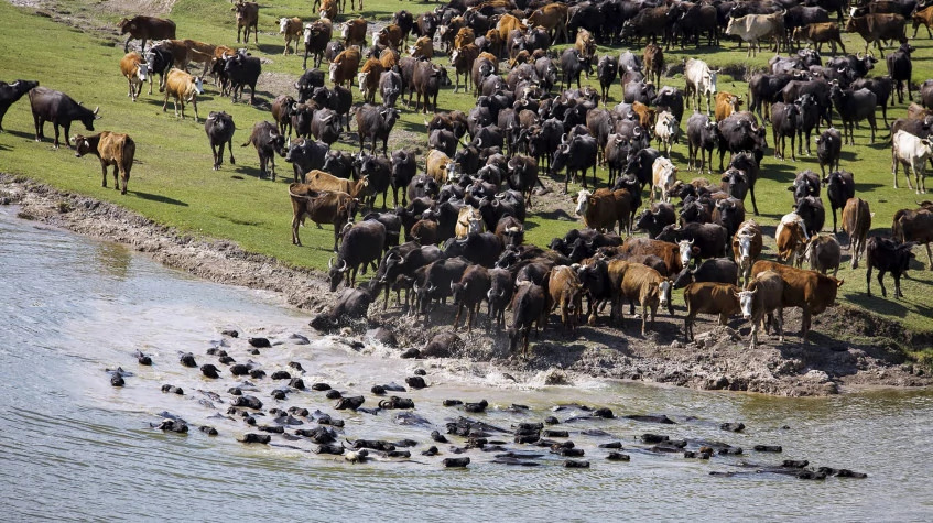 8 Days Ecotourism Turkey Tour photo 4