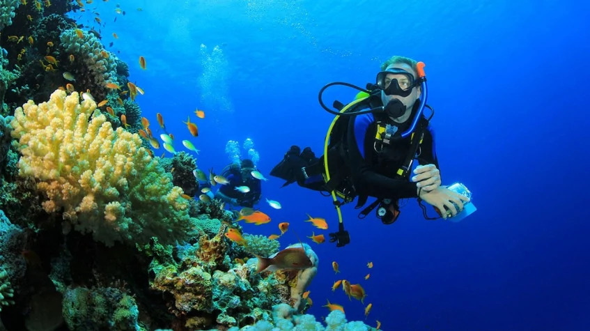 Kusadasi Scuba Diving Tour photo 8