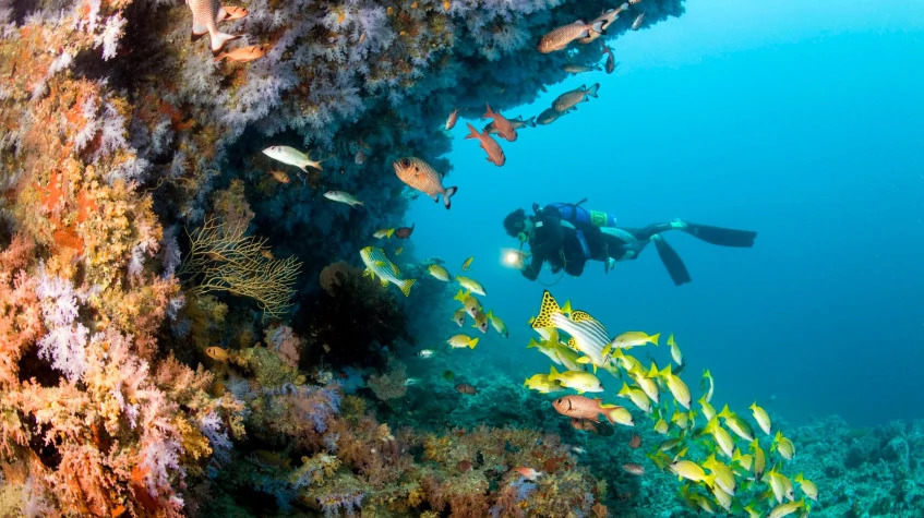 Kusadasi Scuba Diving Tour photo 9