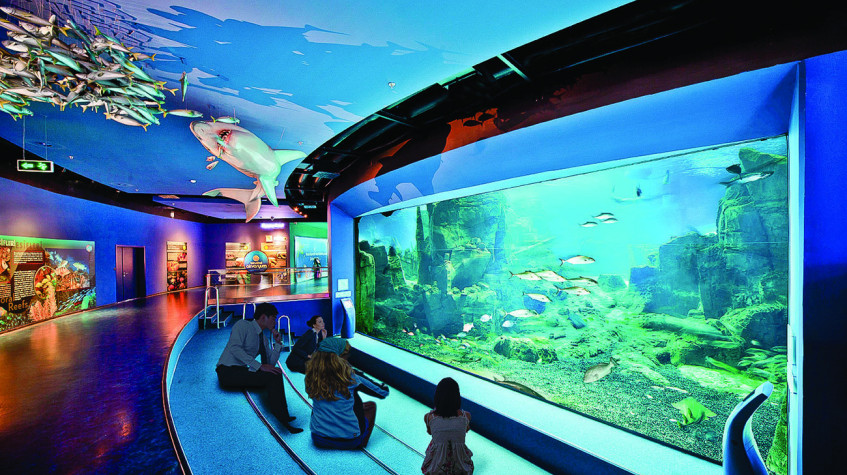 Aquarium & Aqua Florya Shopping Mall Tour Istanbul – Family-Friendly Marine Adventure photo 3
