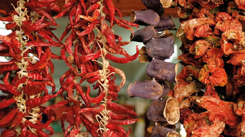 10 Days Accessible Explore Turkish Flavours Tour photo 2