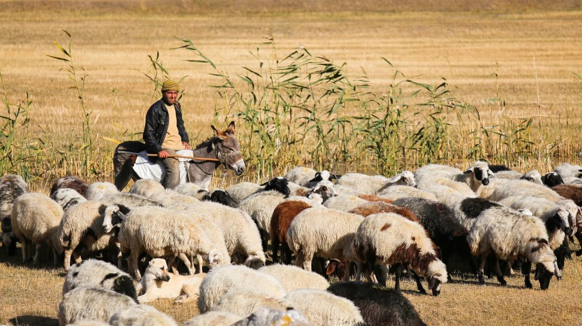 8 Days Noah’s Ark Cultural Trekking Tour photo 9