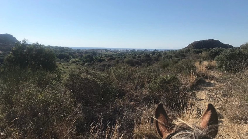 5 Days Horse Riding Package Bodrum Tour photo 8
