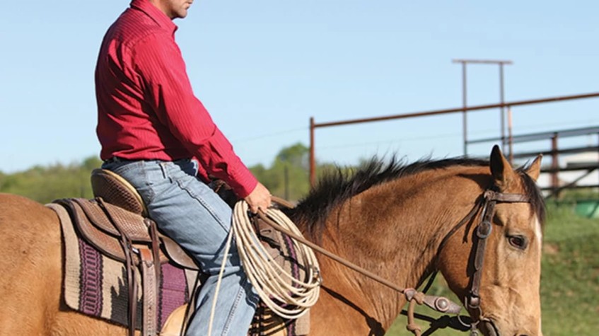 3 Days Horse Riding Package Bodrum photo 3
