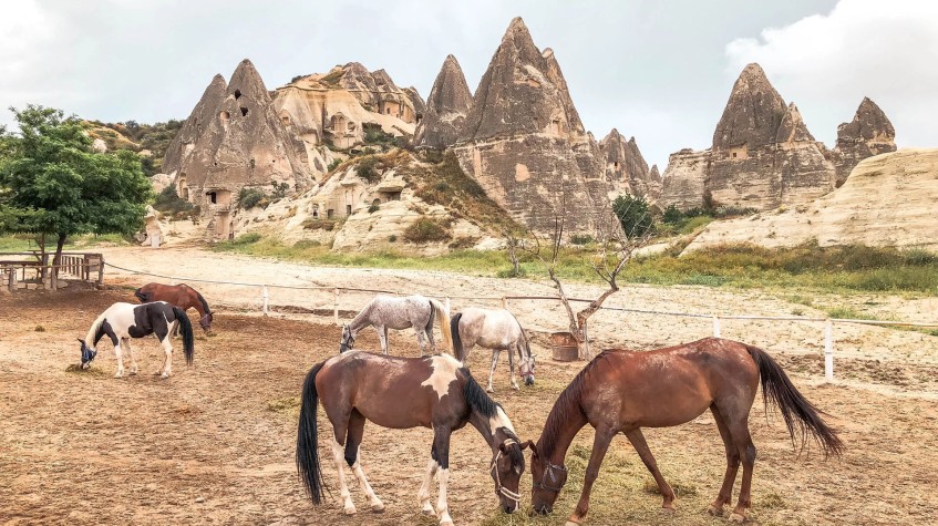 4 Days Horse Riding Package Cappadocia Tour photo 6