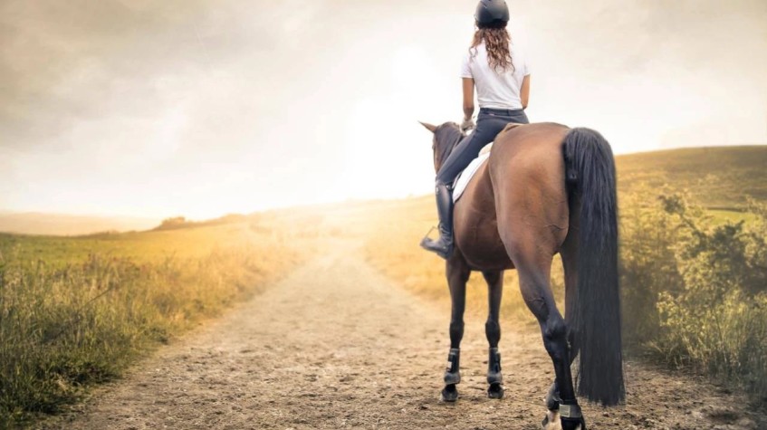 6 Days Horse Riding Package Bodrum Tour photo 13