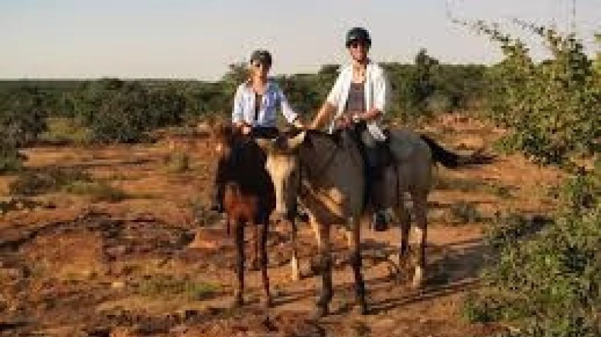 7 Days Horse Riding Package Istanbul Tour photo 2