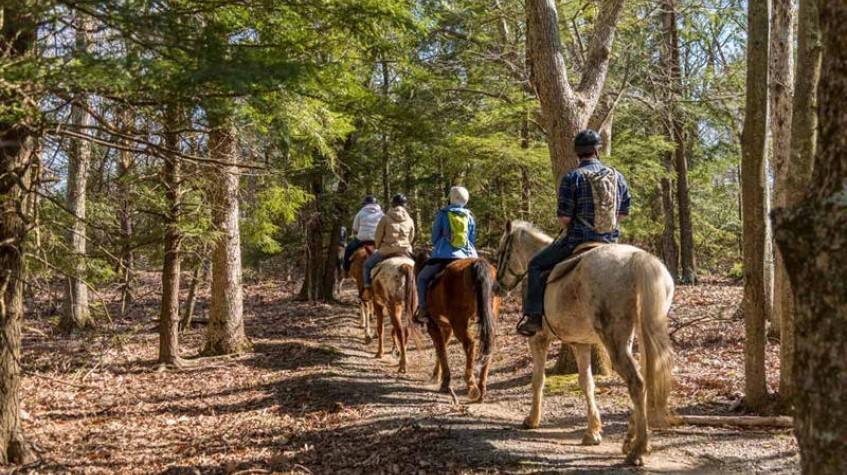 7 Days Horse Riding Package Istanbul Tour photo 3