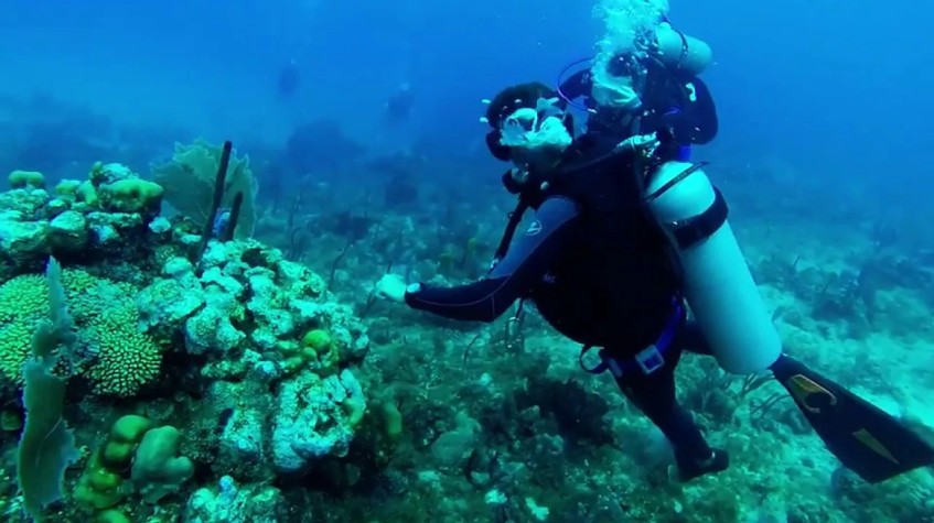 5 Days Istanbul Scuba Diving Tour photo 1