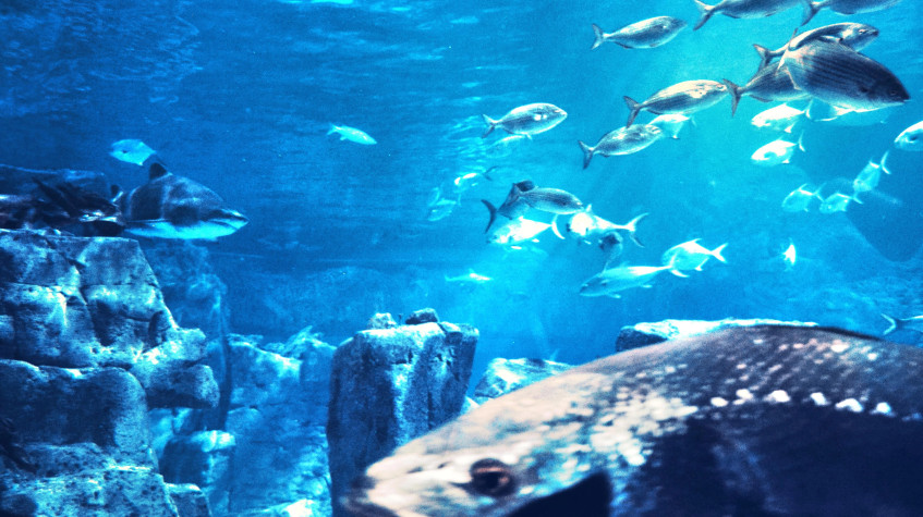 5 Days Istanbul Scuba Diving Tour photo 7