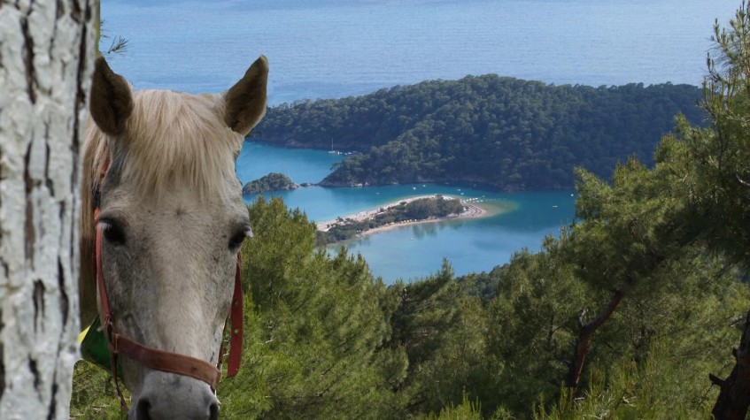 14 Days Bodrum Fethiye Olympos Tour photo 24