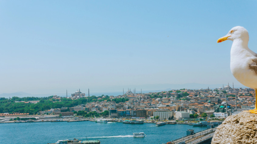 14 Days Istanbul to Cairo Combined Tour photo 1
