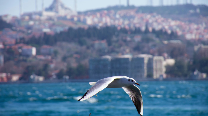 8 Days Solo Turkey Tour photo 21