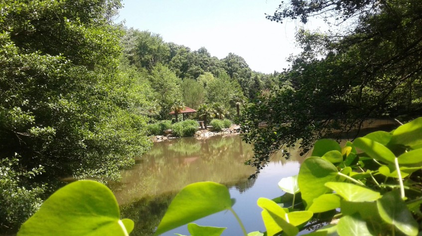 Polonezköy Village Day Tour – Nature, History & Traditional Turkish-Polish Culture photo 2