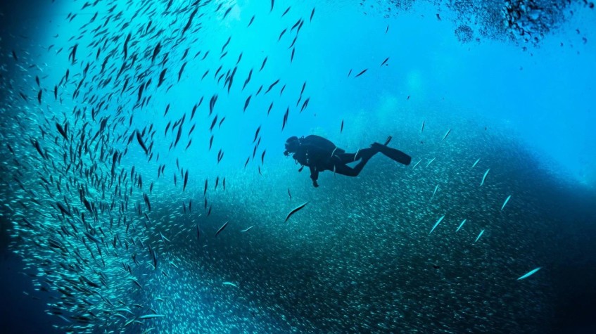 Alanya Scuba Diving Tour photo 2