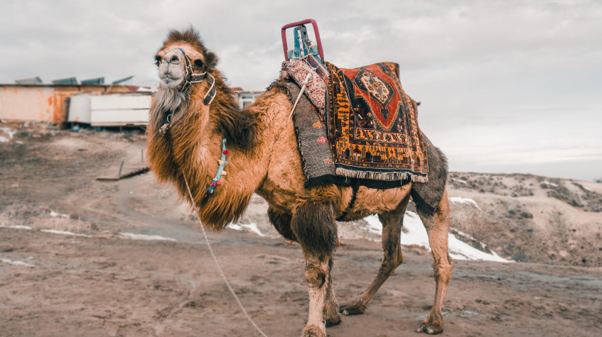 3 Days Cappadocia City Tour photo 4