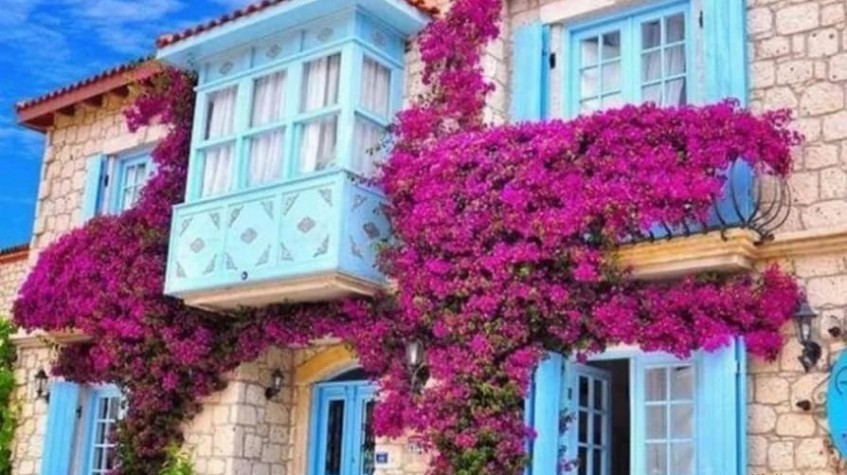 3 Days Cesme City Tour photo 6