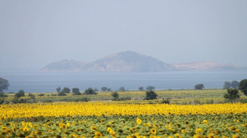 Daily Gallipoli Tour from Istanbul photo 9