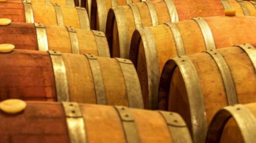 Cappadocia Vineyards & Wine Tasting Experiences photo 5