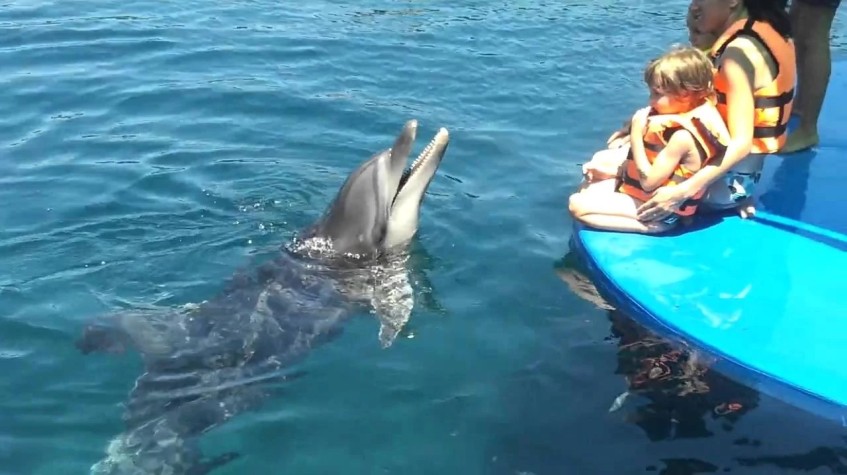11 Days Family Aegan Sea Tour Turkey photo 1