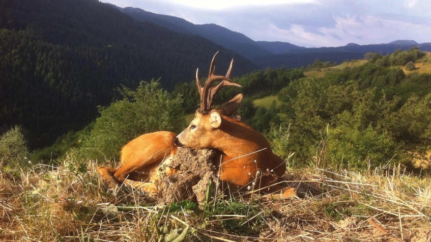 4 Days Hunting Red Stag Package Ankara Tour photo 4