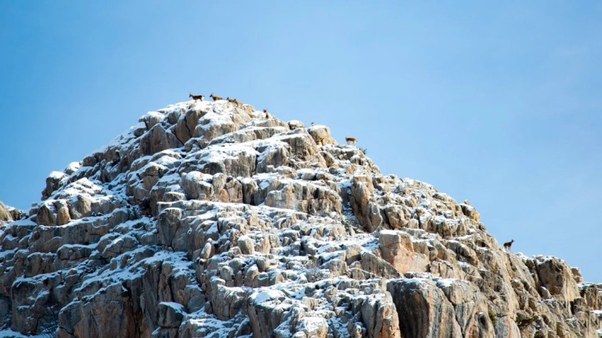 5 Days Hunting Bezoar Ibex Package Kayseri Aladaglar Tour photo 2