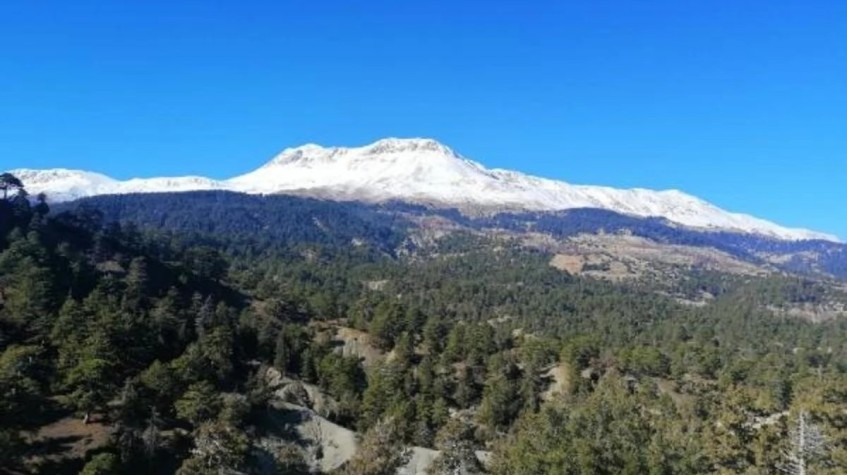 6 Days Hunting Bezoar Ibex Package Antalya photo 5