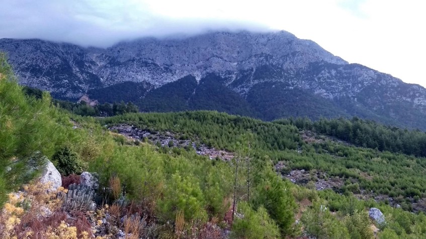 6 Days Hunting Bezoar Ibex Package Antalya photo 19