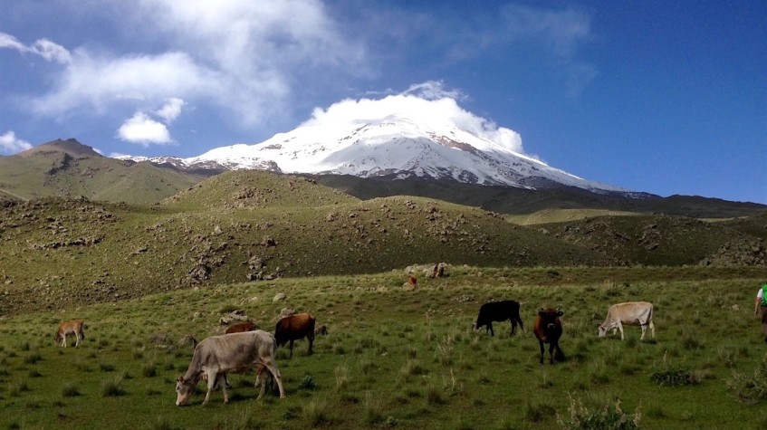 9 Days Mount Ararat Ascent Trekking Tour photo 6