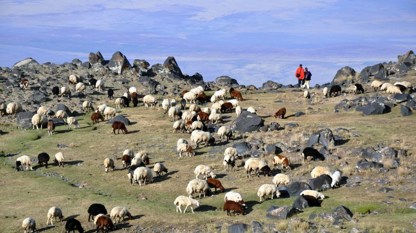 9 Days Mount Ararat Ascent Trekking Tour photo 9