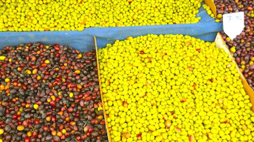 Bodrum Turgutreis Market Tour photo 2