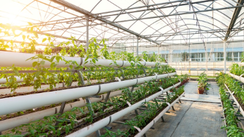 4 Days Antalya Planting Seedlings/Harvest Tour photo 3