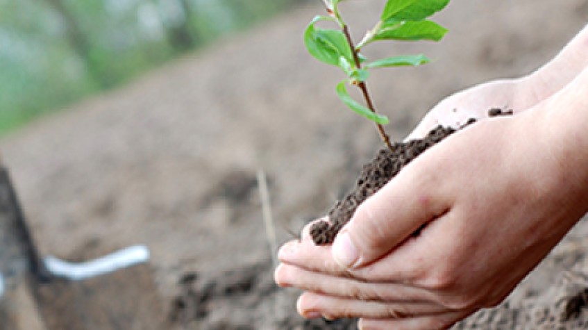 4 Days Antalya Planting Seedlings/Harvest Tour photo 4